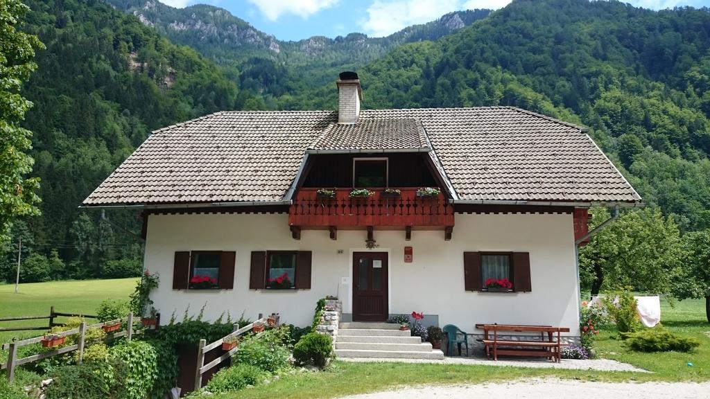 Farm Stay Juvanija Solcava Ngoại thất bức ảnh