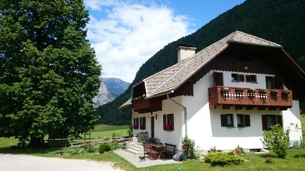 Farm Stay Juvanija Solcava Ngoại thất bức ảnh